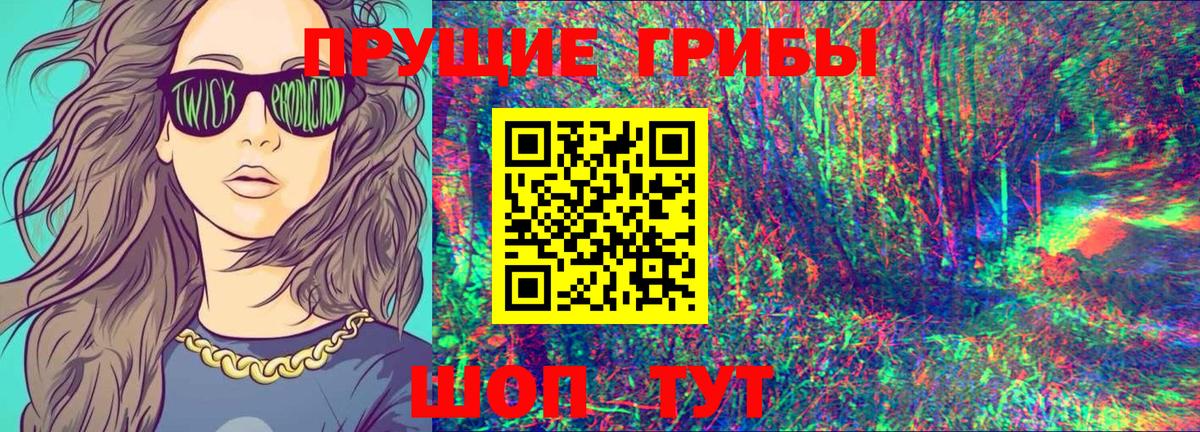 Чапаевск  Галлюциногенные грибы Psilocybine cubensis  Вход с VPN  Галлюциногенные грибы мицелий 